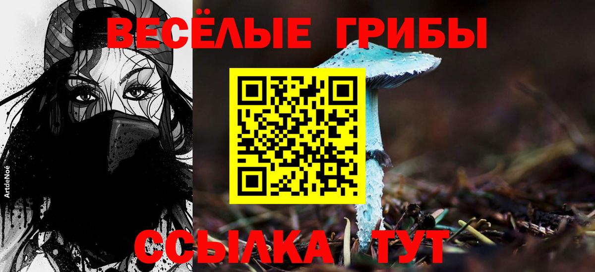 Псилоцибиновые грибы прущие грибы Лысьва